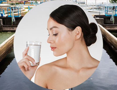 Wasserfilter mit Wasserstoff-Generator gegen PFAS Mikroplastik Bakterien & Co